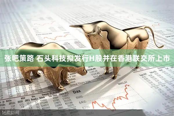 张吧策路 石头科技拟发行H股并在香港联交所上市