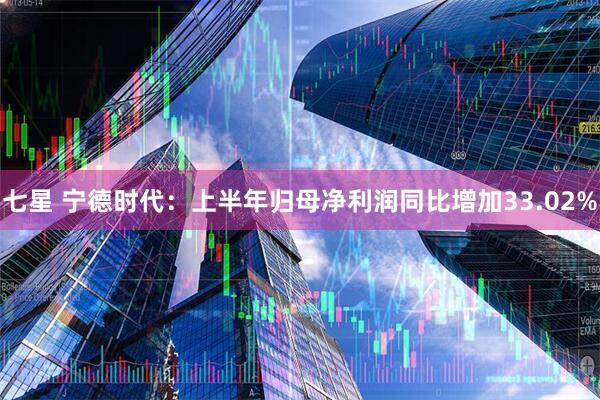 七星 宁德时代：上半年归母净利润同比增加33.02%