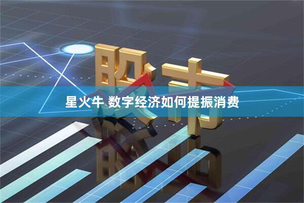 星火牛 数字经济如何提振消费